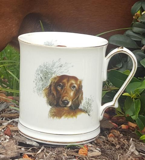 Dachshund Tankard Custom Dachshund Tankard Custom