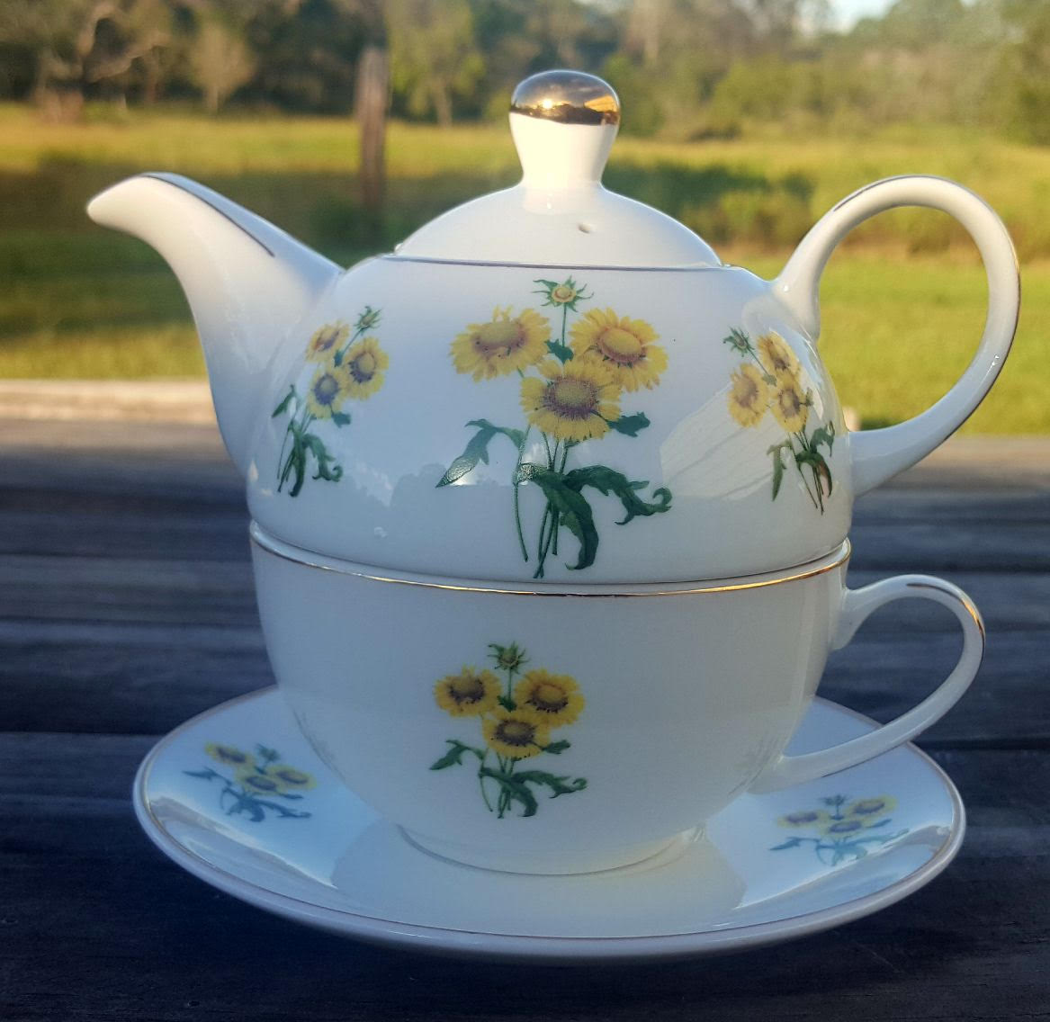 Sunshine Blanket Bloom Tea for one (custom) Sunshine Blanket Bloom Tea for one (custom)