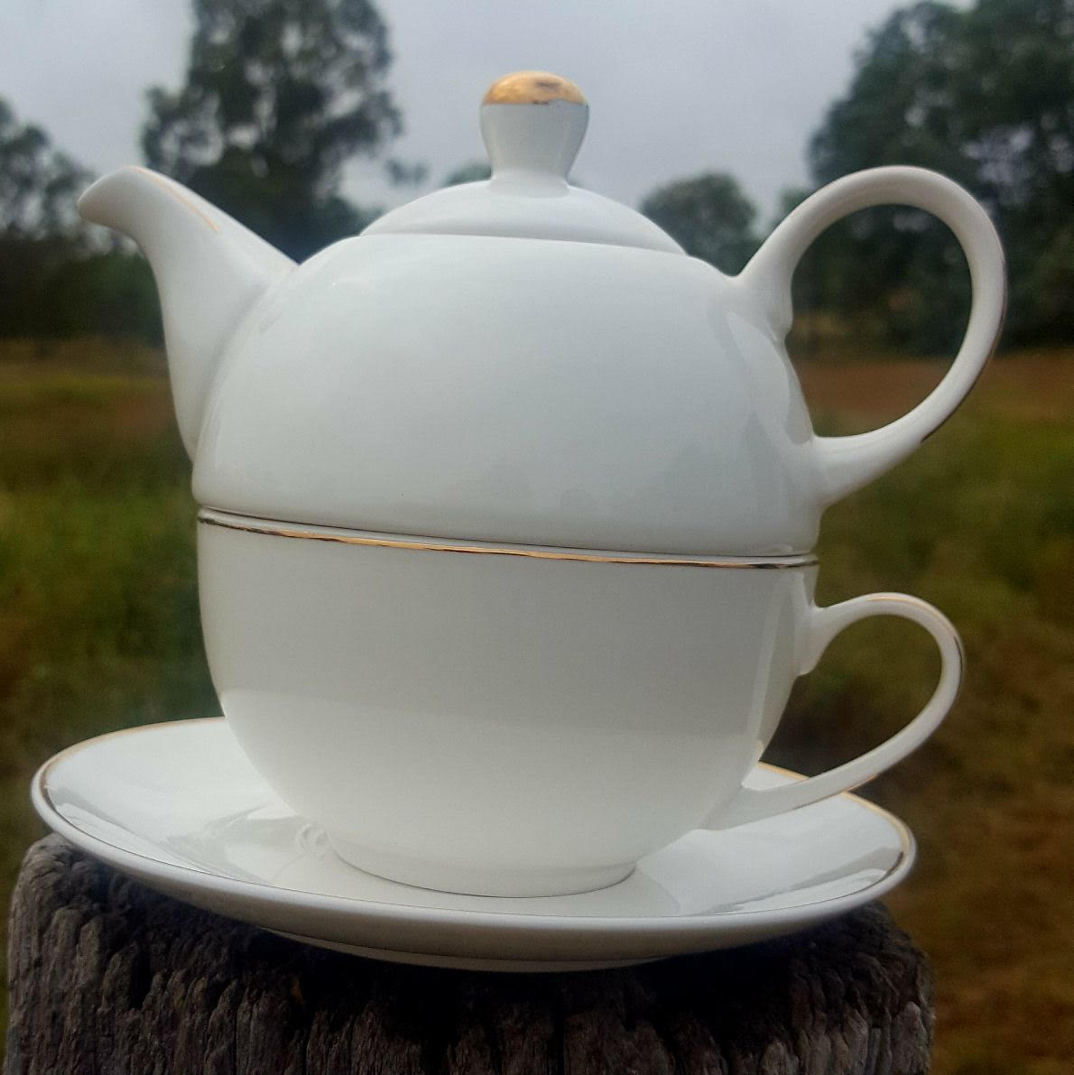 White Dove Tea for One White Dove Tea for One